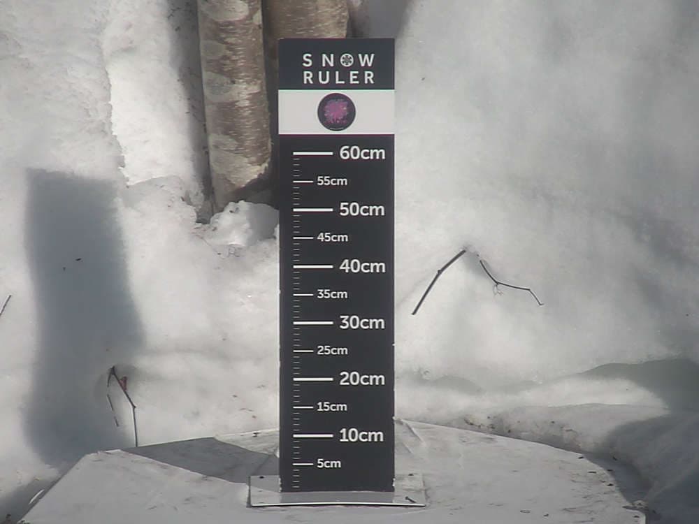 Rusutsu Snow Stake Cam