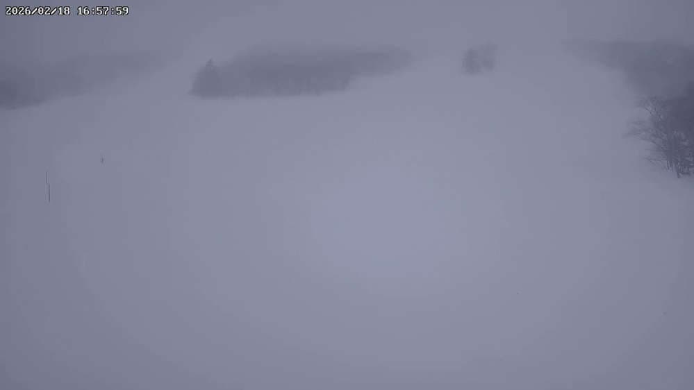 Kiroro - Nagamine No.2 Webcam