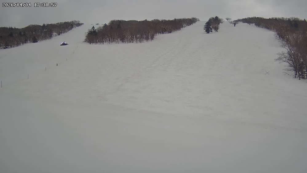 Kiroro - Nagamine No.2 Webcam