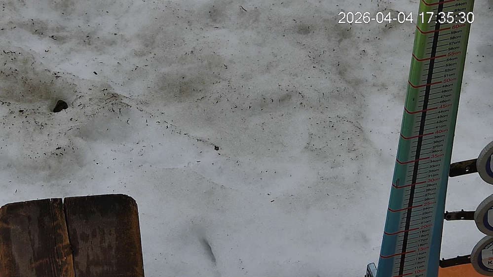 24 hours snowfall Live Camera