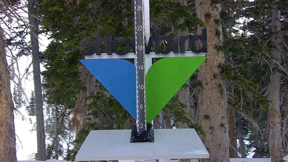 Snowbird - Snowstake