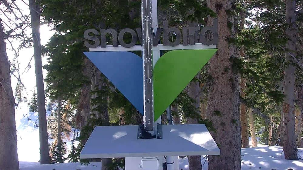 Snowbird - Snowstake