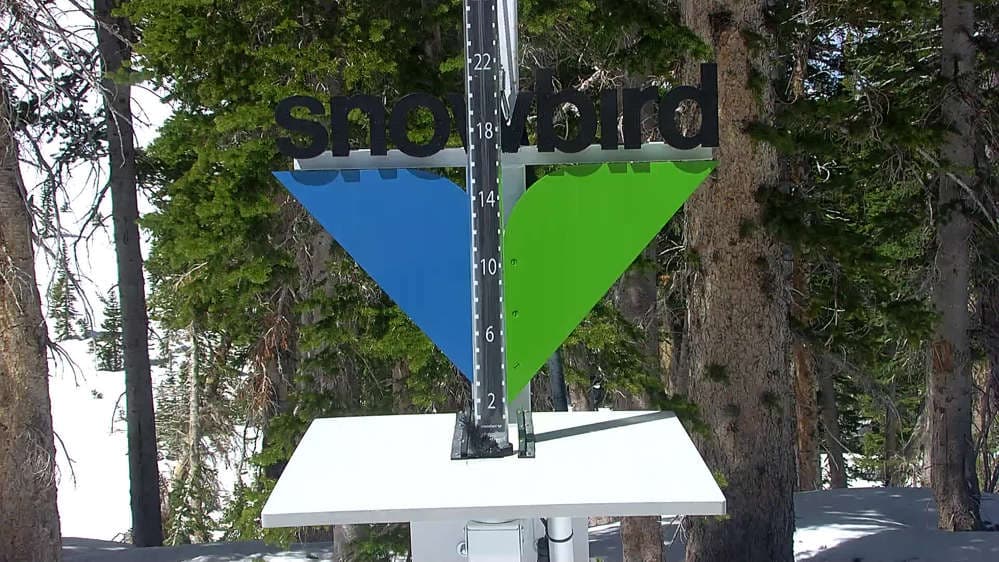 Snowbird - Snowstake