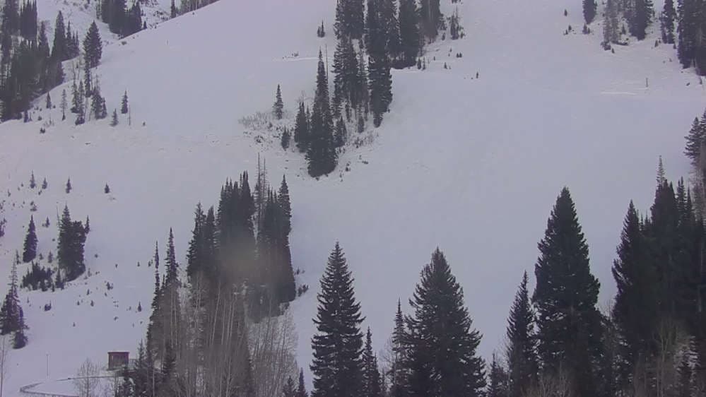 Snowbird - Peruvian Gulch
