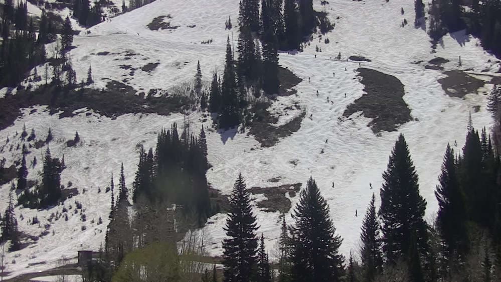 Snowbird - Peruvian Gulch