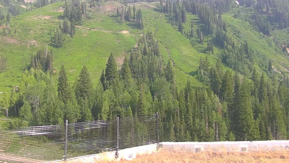 Snowbird - Peruvian Gulch