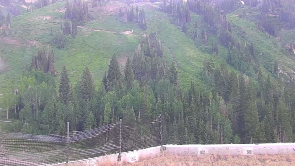 Snowbird - Peruvian Gulch