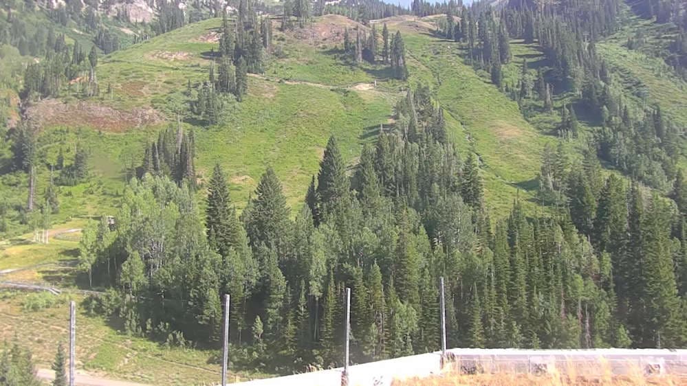 Snowbird - Peruvian Gulch