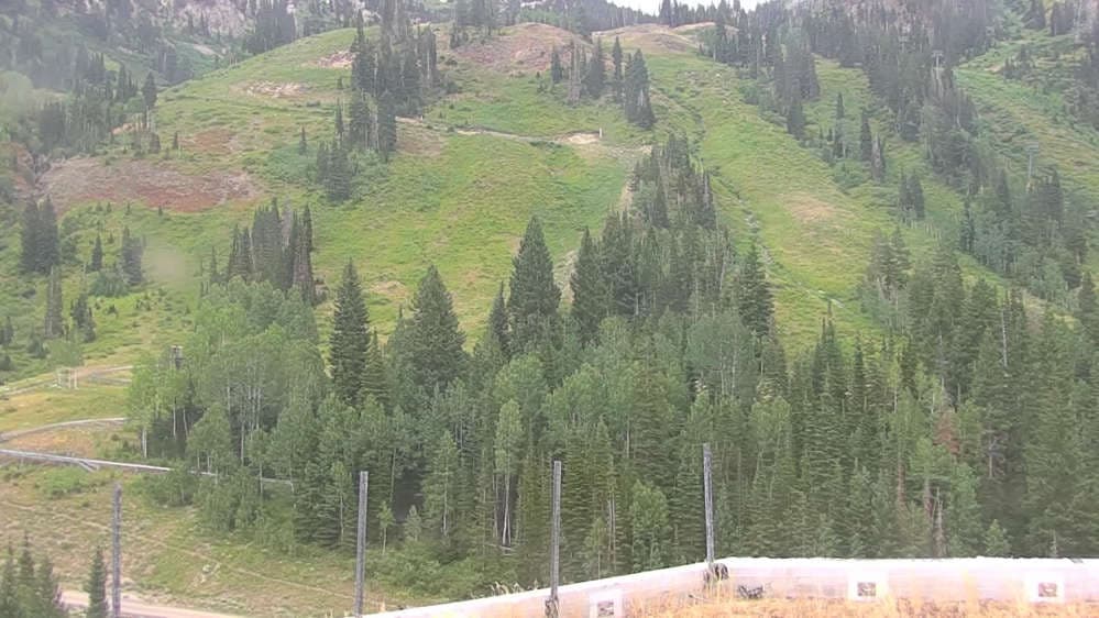 Snowbird - Peruvian Gulch