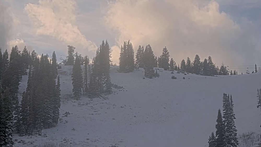 Solitude: Sunshine Bowl Cam
