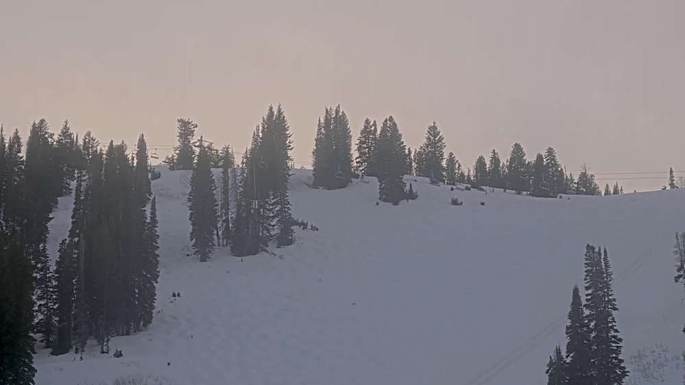 Solitude: Sunshine Bowl Cam