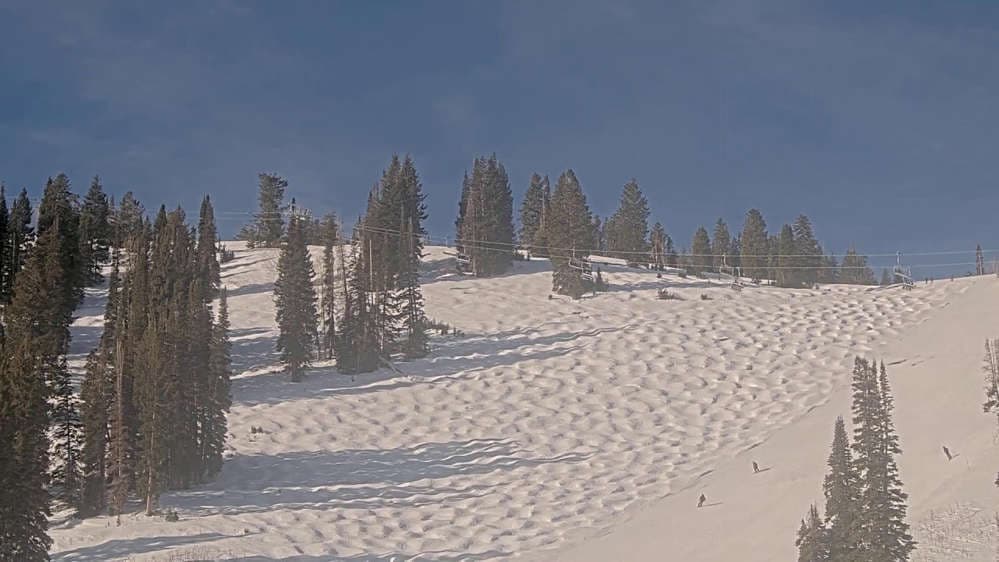 Solitude: Sunshine Bowl Cam