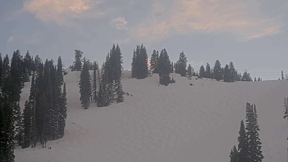 Solitude: Sunshine Bowl Cam