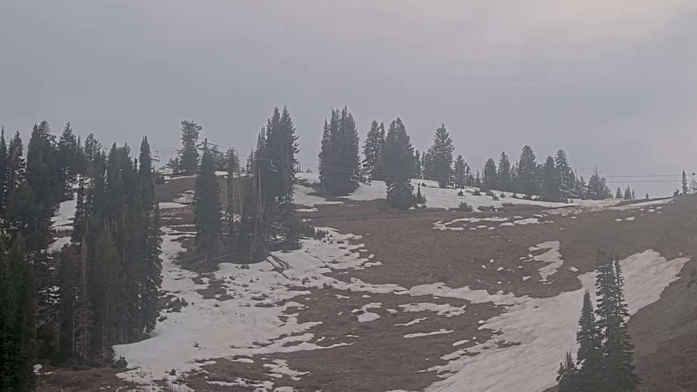 Solitude: Sunshine Bowl Cam