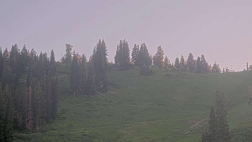 Solitude: Sunshine Bowl Cam