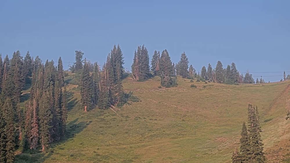 Solitude: Sunshine Bowl Cam