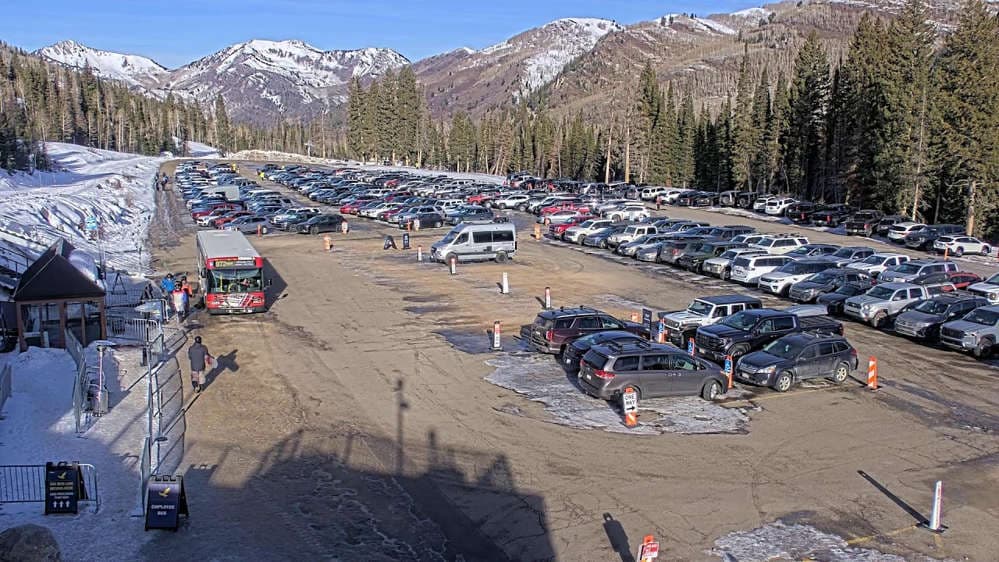 Solitude: Moonbeam Parking Lot Cam