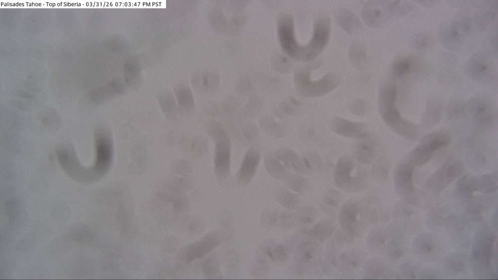 Palisades Tahoe - Siberia Cam