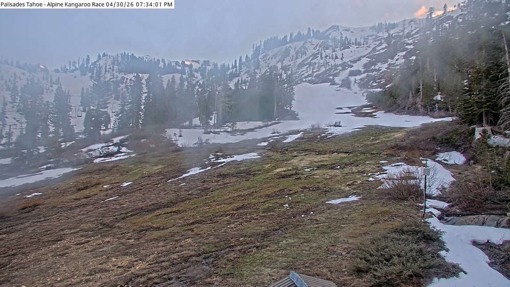 Alpine Race Cam