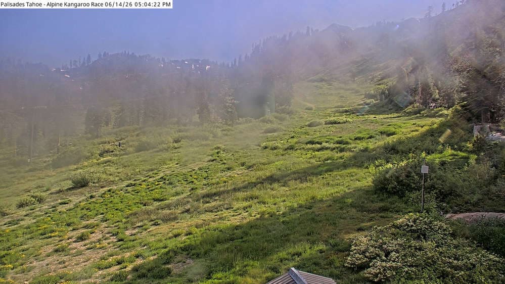 Alpine Race Cam