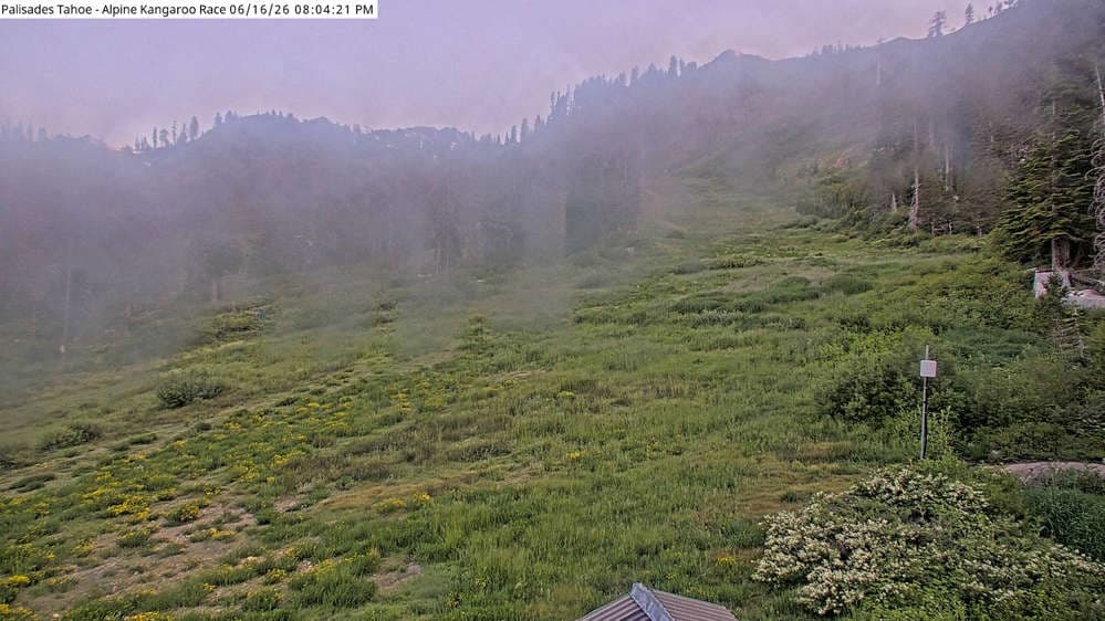 Alpine Race Cam