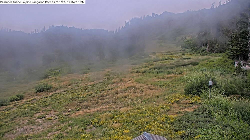 Alpine Race Cam