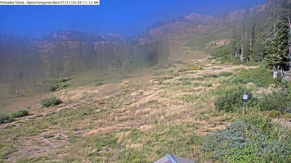 Alpine Race Cam