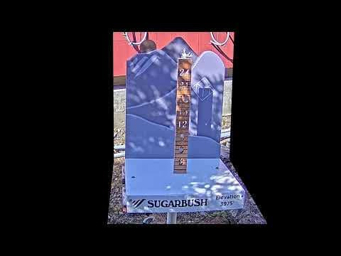 Summit Snow Stake