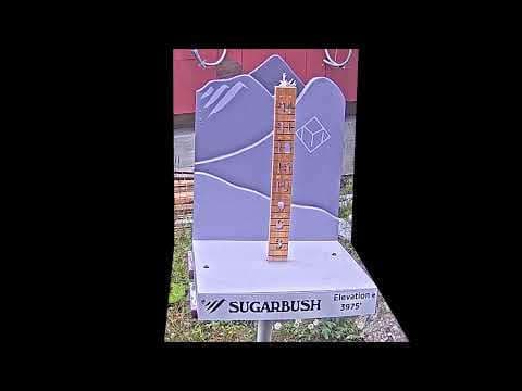 Summit Snow Stake