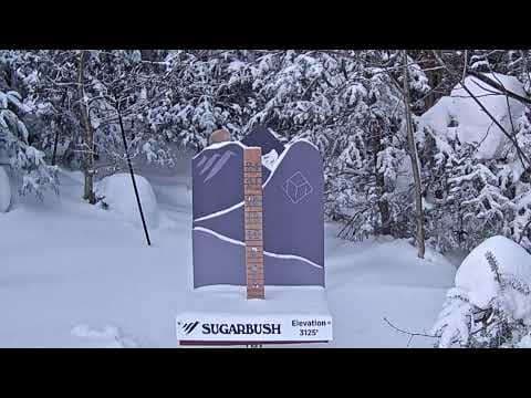 Mid Mountain Snow Stake 