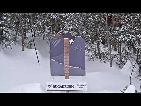 Mid Mountain Snow Stake 