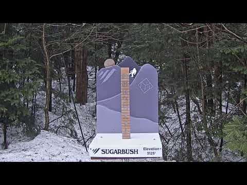 Mid Mountain Snow Stake 