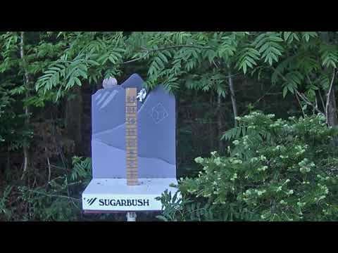 Mid Mountain Snow Stake 