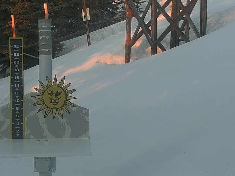 Snow Stake