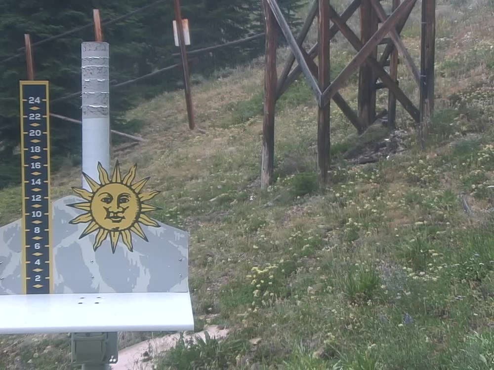 Snow Stake