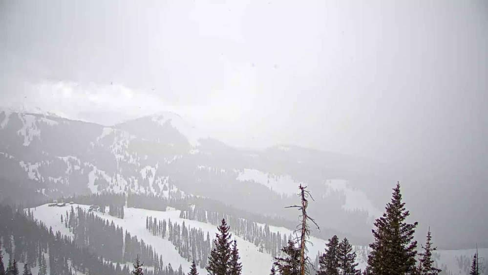 Telluride - See Forever Cam