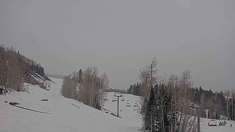 Hoot Brown Terrain Park