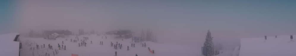 Whitefish - Whitefish Summit