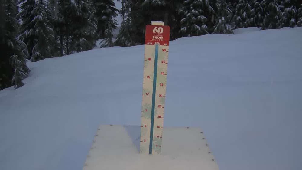 Whistler Snow Stake
