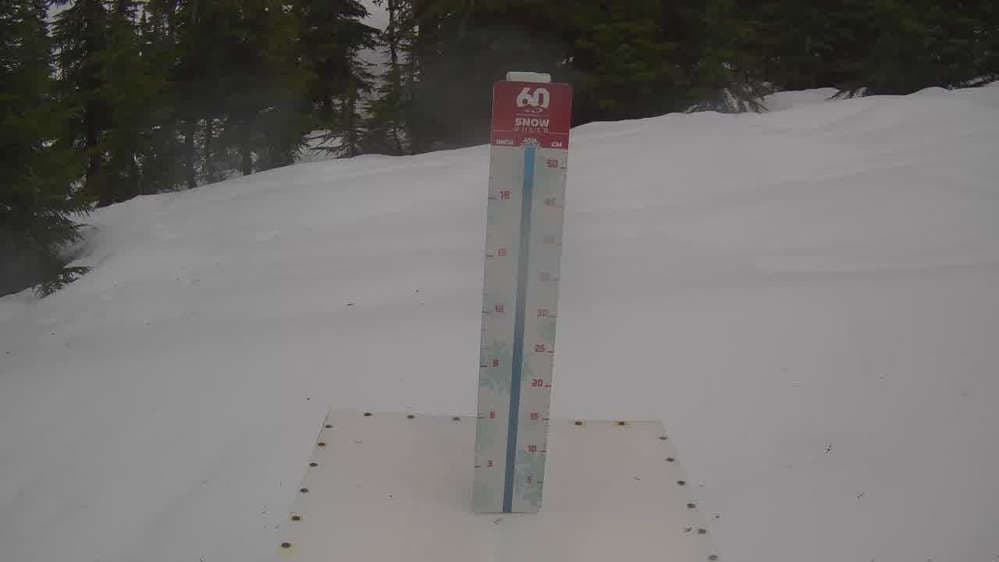 Whistler Snow Stake