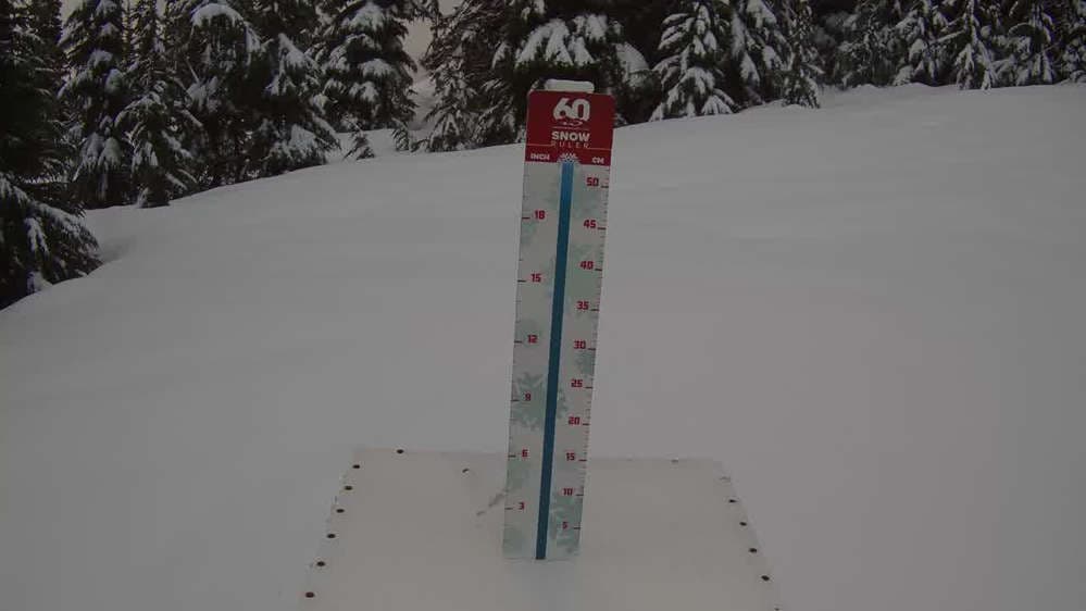 Whistler Snow Stake