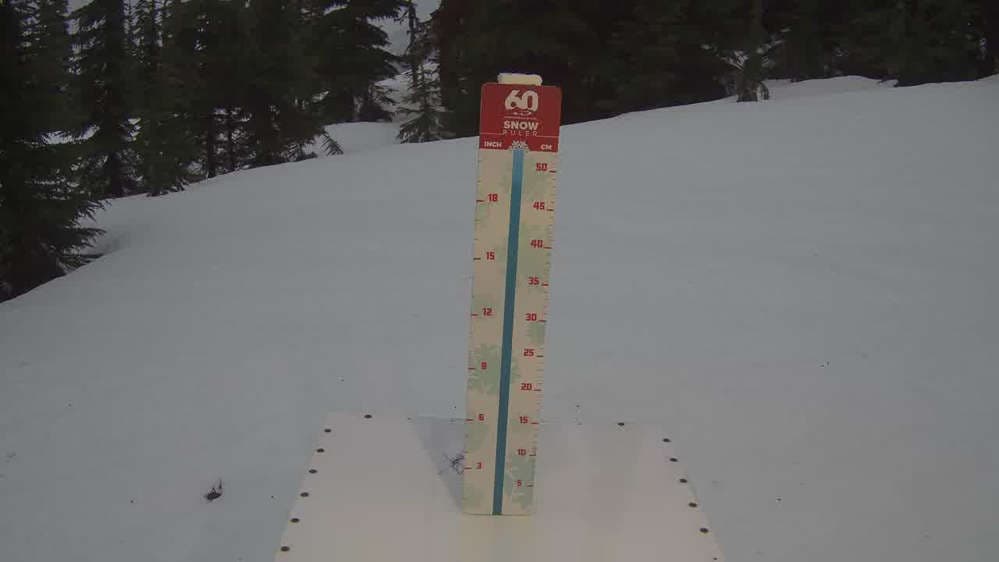 Whistler Snow Stake