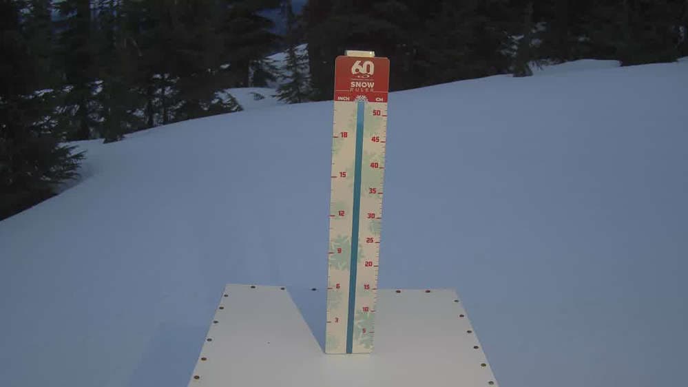 Whistler Snow Stake