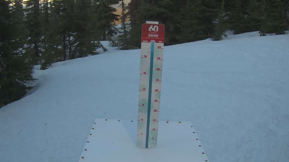 Whistler Snow Stake