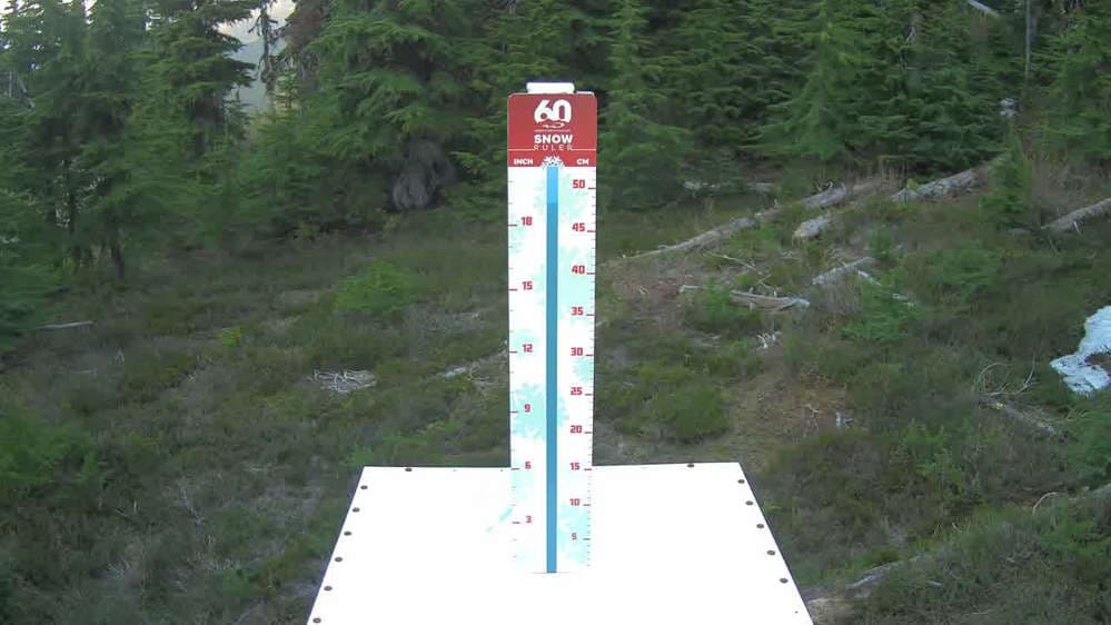 Whistler Snow Stake