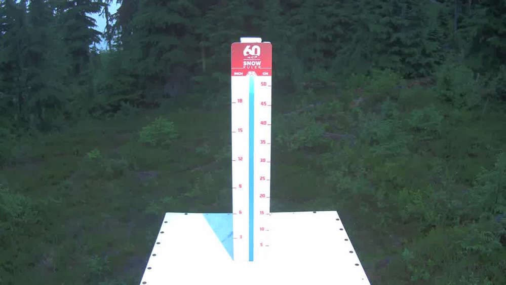 Whistler Snow Stake