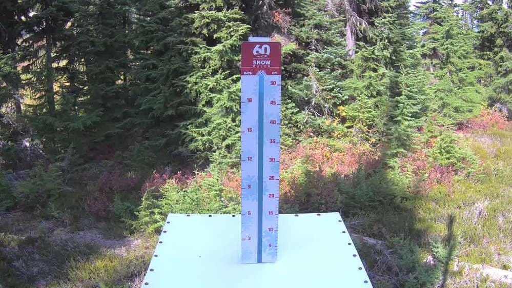 Whistler Snow Stake