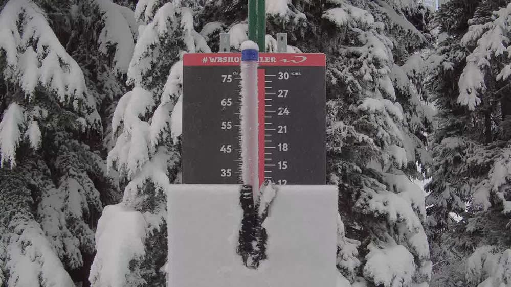 Whistler Snow Stake
