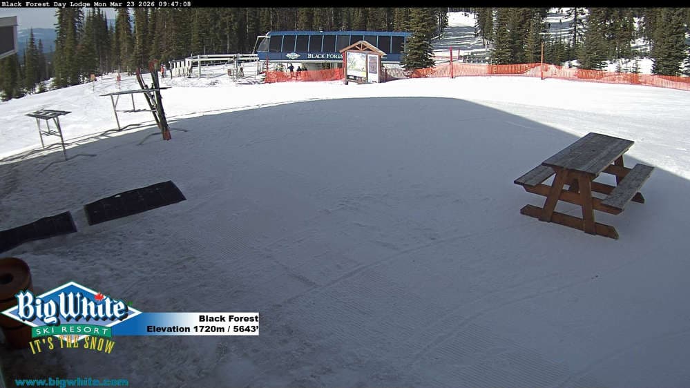 Big White Ski Black Forest