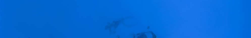 Alpe d'Huez - Herpie 3060m